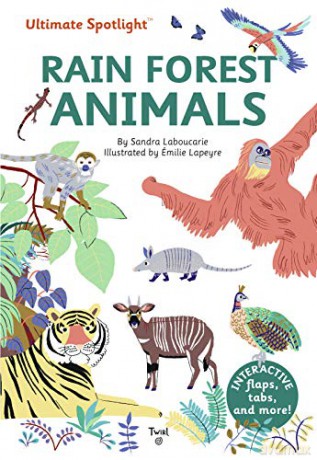 Ultimate Spotlight: Rain Forest Animals - Sandra Laboucarie [KSIĄŻKA]