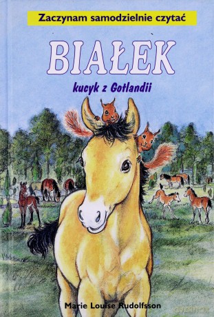 Białek 01: Kucyk Z Gotlandii [KSIĄŻKA]