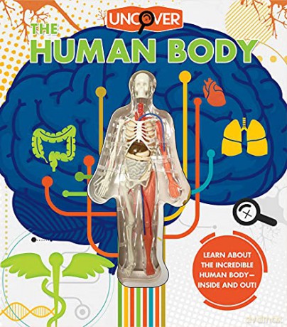 Uncover the Human Body: Includes Plastic Model - Luann Colombo [KSIĄŻKA]