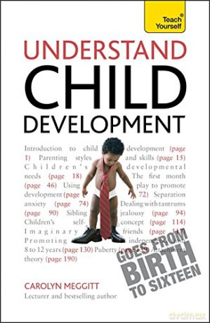 Understand Child Development: Teach Yourself - Carolyn Meggitt [KSIĄŻKA]