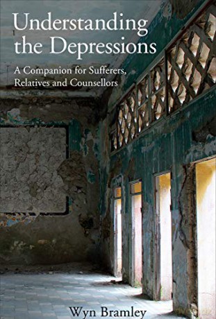 Understanding the Depressions: A Companion for Sufferers, Relatives and Counsellors - Wyn Bramley [KSIĄŻKA]