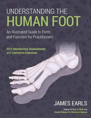 Understanding the Human Foot: An Illustrated Guide to Form and Function for Practitioners - James Earls [KSIĄŻKA]