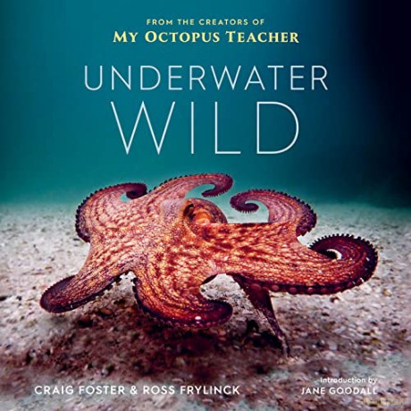 Underwater Wild: My Octopus Teacher's Extraordinary World - Craig Foster [KSIĄŻKA]