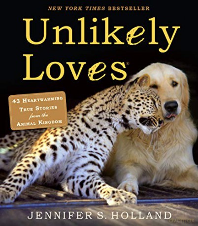 Unlikely Loves: 43 Heartwarming True Stories from the Animal Kingdom: 1 (Unlikely Friendships) - Jennifer Holland [KSIĄŻKA]