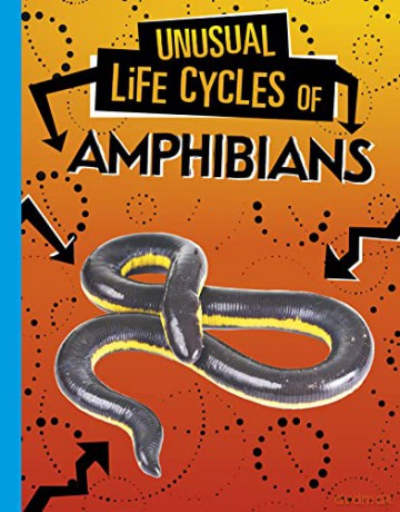Unusual Life Cycles of Amphibians - Jaclyn Jaycox [KSIĄŻKA]