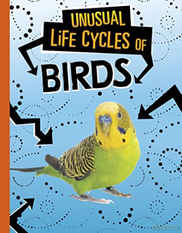 Unusual Life Cycles of Birds - Jaclyn Jaycox [KSIĄŻKA]