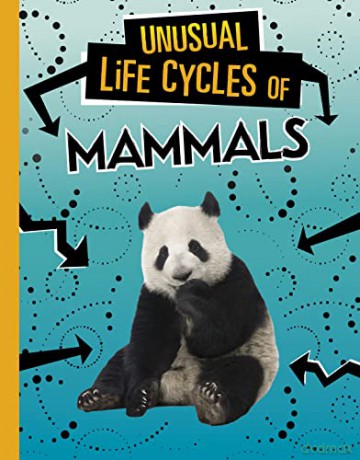 Unusual Life Cycles of Mammals - Jaclyn Jaycox [KSIĄŻKA]