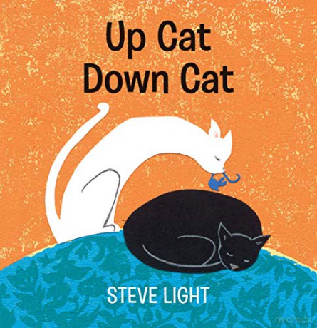 Up Cat Down Cat - Steve Light [KSIĄŻKA]