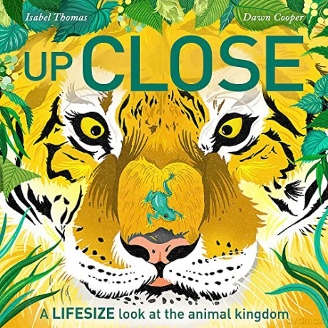 Up Close: A life-size look at the animal kingdom - Isabel Thomas [KSIĄŻKA]