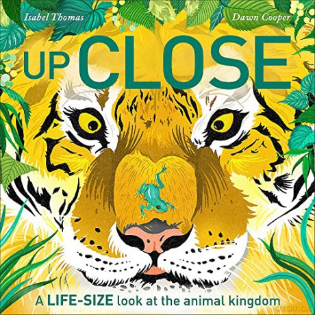 Up Close: A life-size look at the animal kingdom - Isabel Thomas [KSIĄŻKA]