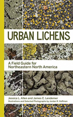 Urban Lichens: A Field Guide for Northeastern North America - Jessica L Allen [KSIĄŻKA]