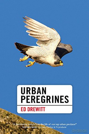Urban Peregrines (Pelagic Monographs) - Ed Drewitt [KSIĄŻKA]