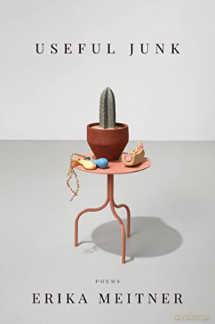 Useful Junk: 191 (American Poets Continuum Series, 191) - Erika Meitner [KSIĄŻKA]
