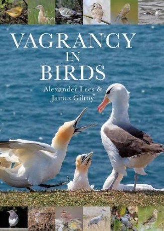 Vagrancy in Birds - Alexander Lees [KSIĄŻKA]
