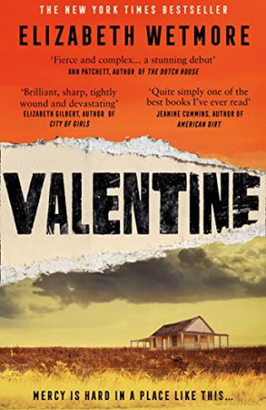 Valentine: A Stunning Debut and a New York Times Bestseller - Elizabeth Wetmore [KSIĄŻKA]