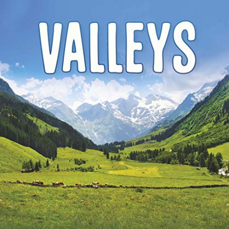 Valleys (Earth's Landforms) - Lisa J. Amstutz [KSIĄŻKA]