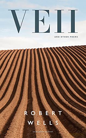 Veii and other poems (Carcanet Poetry) - Robert Wells [KSIĄŻKA]