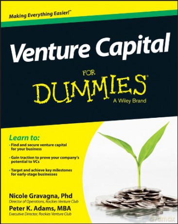 Venture Capital For Dummies - Nicole Gravagna [KSIĄŻKA]