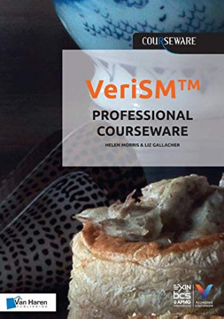 Verism(tm) Professional Courseware [KSIĄŻKA]