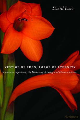 Vestige of Eden, Image of Eternity: Common Experience, the Hierarchy of Being, and Modern Science - Daniel Toma [KSIĄŻKA]