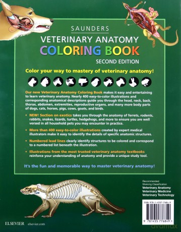 Veterinary Anatomy Coloring Book [KSIĄŻKA]