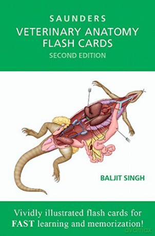 Veterinary Anatomy Flash Cards, 2e [KSIĄŻKA]