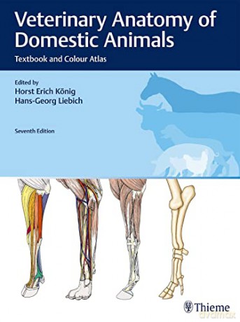 Veterinary Anatomy of Domestic Animals: Textbook and Colour Atlas - Horst Erich König [KSIĄŻKA]