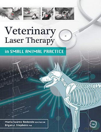 Veterinary Laser Therapy in Small Animal Practice - María Suárez Redondo [KSIĄŻKA]