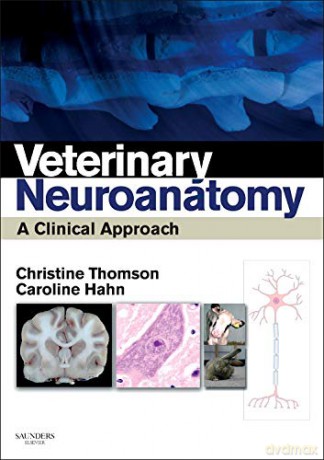 Veterinary Neuroanatomy: A Clinical Approach, 1e - Christine E Thomson BVSc(Hons) PhD DipACVIM(Neurol) DipECVN ILTM MRCVS [KSIĄŻKA]