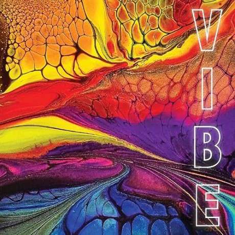VIBE - Jo Baldwin Trott [KSIĄŻKA]
