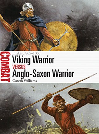 Viking Warrior vs Anglo-Saxon Warrior: England 865-1066 (Combat) - Gareth Williams [KSIĄŻKA]