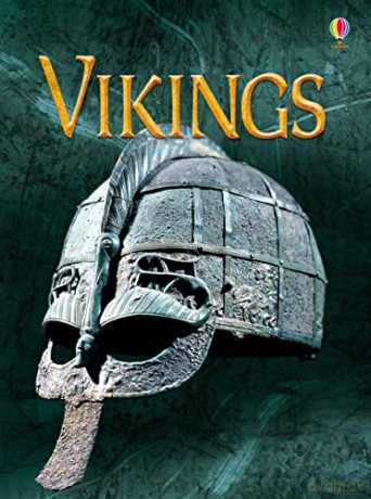 Vikings (Beginners) - Stephanie Turnbull [KSIĄŻKA]