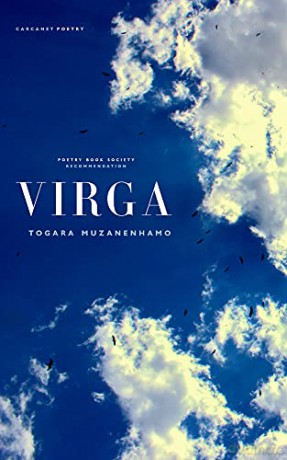Virga - Togara Muzanenhamo [KSIĄŻKA]
