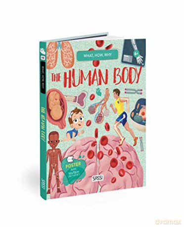What, How, Why - The Human Body (QUESTIONS ANSWERS) - Irena Trevisan [KSIĄŻKA]