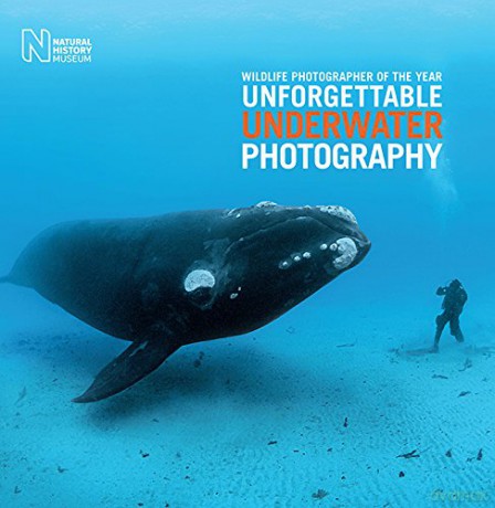 Wildlife Photographer of the Year: Unforgettable Underwater Photography - Rosamund Kidman Cox [KSIĄŻKA]