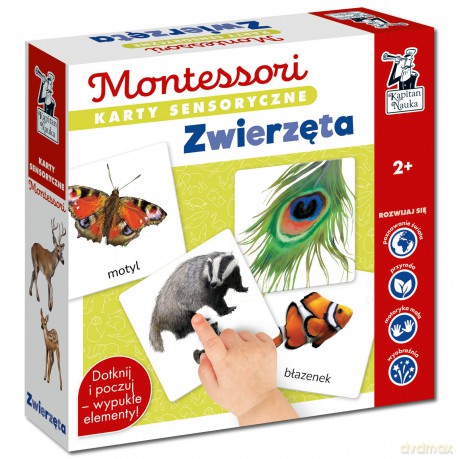 Karty sensoryczne Montessori Zwierzęta Kapitan Nauka - Katarzyna Dołhun [GRA]