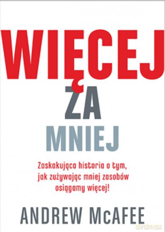 Więcej za mniej Zaskakująca historia o tym, jak zużywając mniej zasobów osiągamy więcej! [KSIĄŻKA]