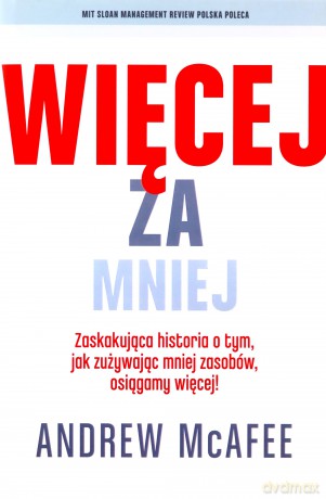 Więcej za mniej Zaskakująca historia o tym, jak zużywając mniej zasobów osiągamy więcej! [KSIĄŻKA]