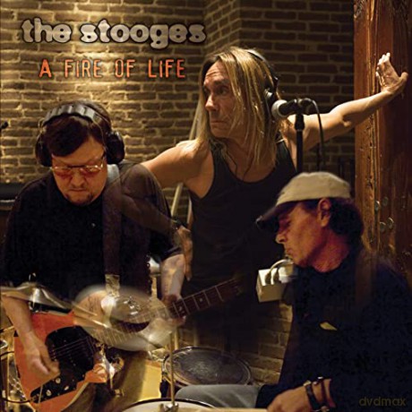 Stooges: A Fire Of Life [2xWinyl]