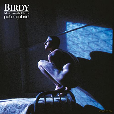 Peter Gabriel: Birdy [Winyl]