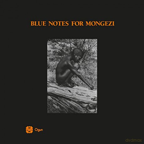 Blue Notes: Blue Notes For Mongezi [2xWinyl]