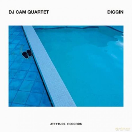 Dj Cam: Diggin [Winyl]