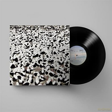 Stella Donnelly: Flood [Winyl]