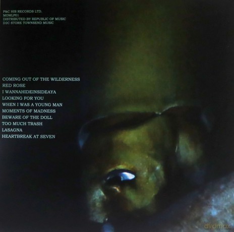 Hugh Cornwell: Moments Of Madness [Winyl]