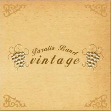 Paraliż Band: Vintage (digipack) [CD]