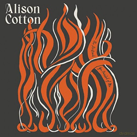 Alison Cotton: The Portrait You Painted Of Me [Winyl]