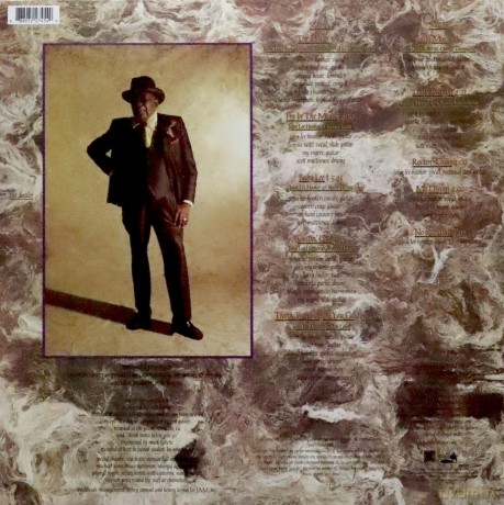 John Lee Hooker: The Healer [Winyl]