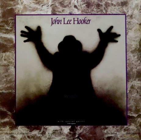John Lee Hooker: The Healer [Winyl]