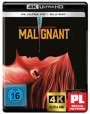 Wcielenie [Blu-Ray 4K]+[Blu-Ray]