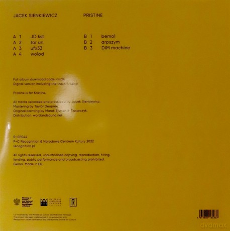 Jacek Sienkiewicz: Pristine [Winyl]